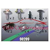 Rezaw - Plast Tornilleria y Clips para Cubrecarter 90209